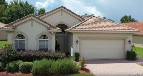 1141 W Diamond Shore Loop, Hernando, FL 34442 photo 35
