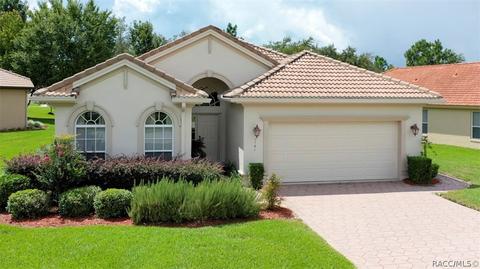 1141 W Diamond Shore Loop, Hernando, FL 34442 photo 1