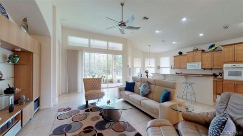 1141 W Diamond Shore Loop, Hernando, FL 34442 photo 2