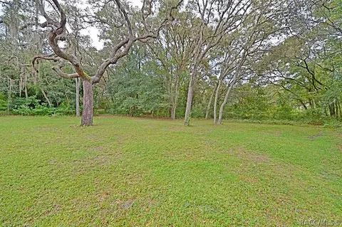 4051 N Ringwood Cir, Hernando, FL 34442 photo 41