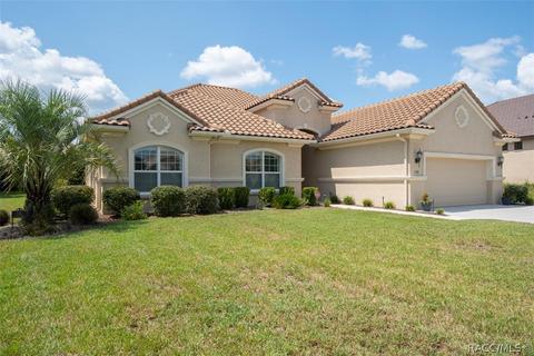 1582 N Eagle Ridge Path, Hernando, FL 34442 photo 39
