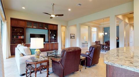 1582 N Eagle Ridge Path, Hernando, FL 34442 photo 8