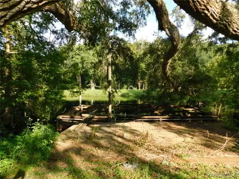 8351 N Oak River Way, Hernando, FL 34442 photo 13