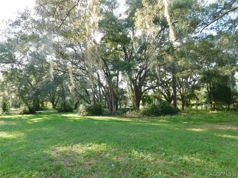 8351 N Oak River Way, Hernando, FL 34442 photo 19