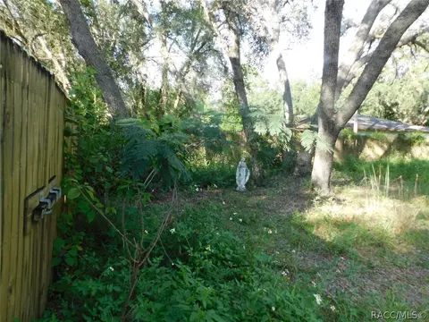 8351 N Oak River Way, Hernando, FL 34442 photo 6