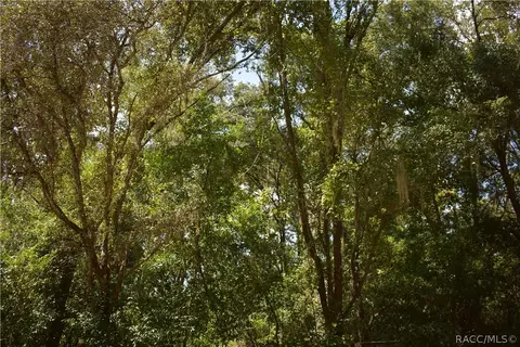 6594 N Anchor Pt, Hernando, FL 34442 photo 2