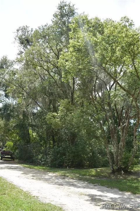 6594 N Anchor Pt, Hernando, FL 34442 photo 4