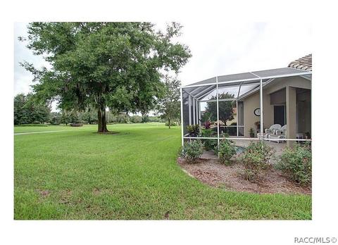 1222 W Diamond Shore Loop, Hernando, FL 34442 photo 6