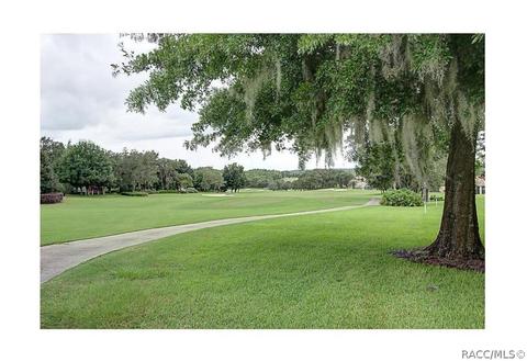 1222 W Diamond Shore Loop, Hernando, FL 34442 photo 7