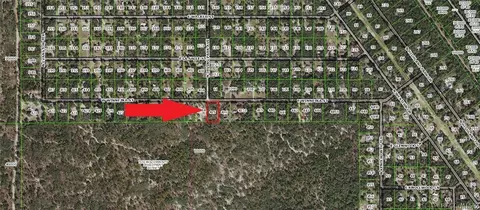 1062 E Winnetka St, Hernando, FL 34442 photo 1