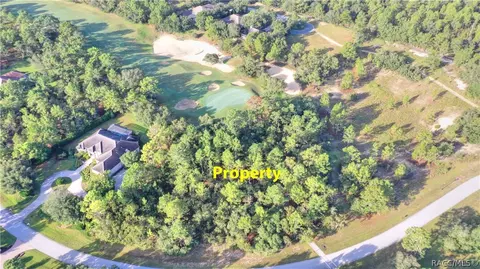 3901 N Grayhawk Loop, Lecanto, FL 34461 photo 2
