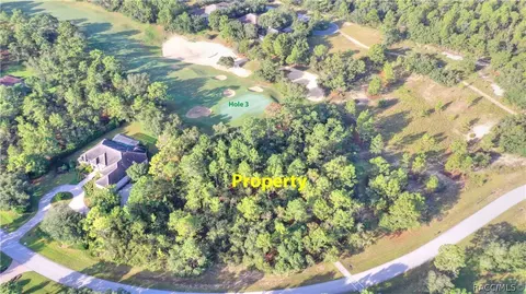 3901 N Grayhawk Loop, Lecanto, FL 34461 photo 3