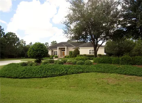 3901 N Grayhawk Loop, Lecanto, FL 34461 photo 11