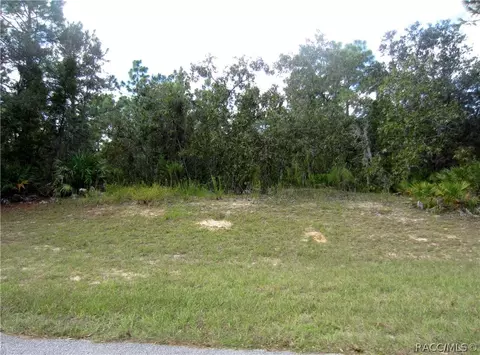 3901 N Grayhawk Loop, Lecanto, FL 34461 photo 4