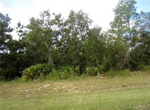 3901 N Grayhawk Loop, Lecanto, FL 34461 photo 6