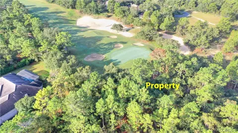 3901 N Grayhawk Loop, Lecanto, FL 34461 photo 1