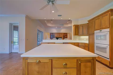 3575 N Grayhawk Loop, Lecanto, FL 34461 photo 15