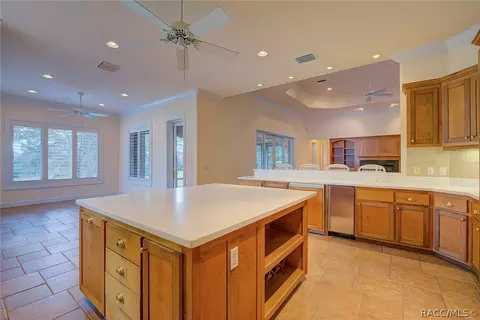 3575 N Grayhawk Loop, Lecanto, FL 34461 photo 16