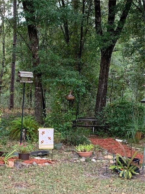 3579 E Maxwell Pl, Inverness, FL 34453 photo 37