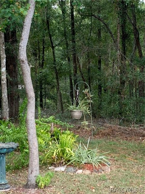 3579 E Maxwell Pl, Inverness, FL 34453 photo 39