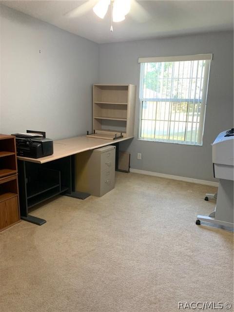 3579 E Maxwell Pl, Inverness, FL 34453 photo 33