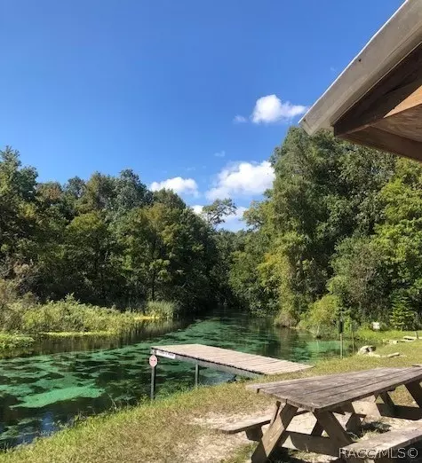 7179 Maple Dr, Weeki Wachee, FL 34607 photo 18