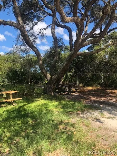 7179 Maple Dr, Weeki Wachee, FL 34607 photo 19