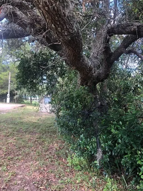 7179 Maple Dr, Weeki Wachee, FL 34607 photo 4