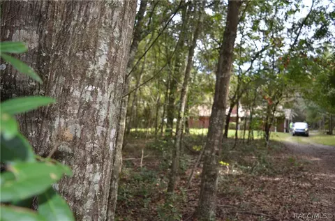 1370 E La Salle St, Hernando, FL 34442 photo 2