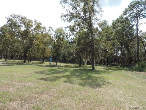 208 E Reehill St, Lecanto, FL 34461 photo 29