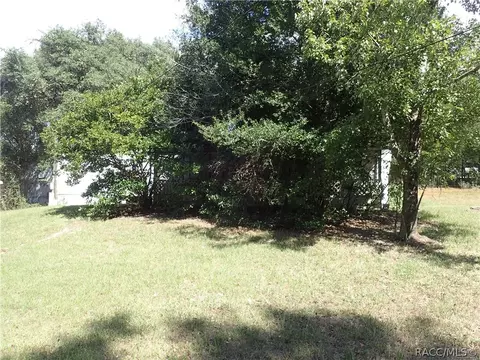 2099 N Picnic Pt, Hernando, FL 34442 photo 3