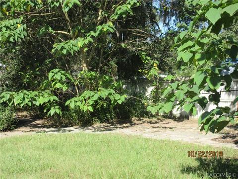 1699 N Paul Dr, Hernando, FL 34442 photo 20
