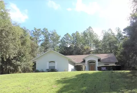 3701 N Tyrone Ave, Hernando, FL 34442 photo 20