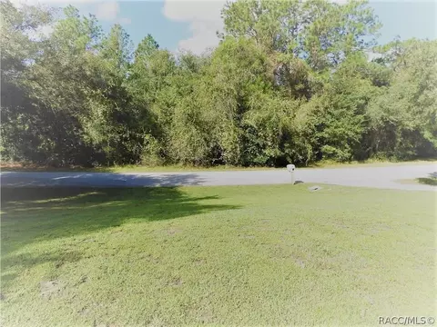 3701 N Tyrone Ave, Hernando, FL 34442 photo 21