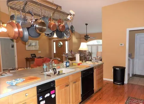 3701 N Tyrone Ave, Hernando, FL 34442 photo 2
