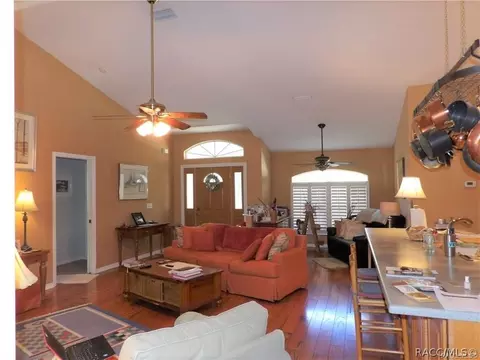 3701 N Tyrone Ave, Hernando, FL 34442 photo 8