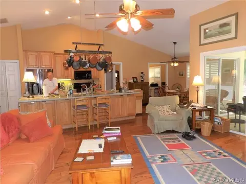 3701 N Tyrone Ave, Hernando, FL 34442 photo 5