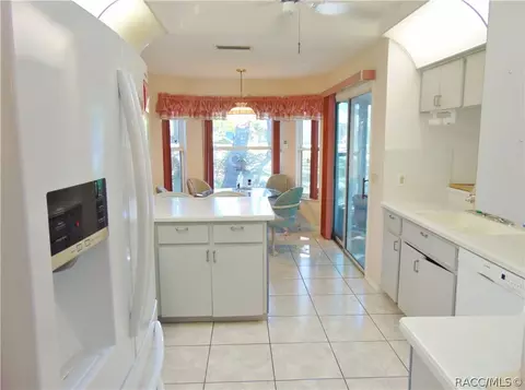 1229 E Silver Thorn Loop, Hernando, FL 34442 photo 9
