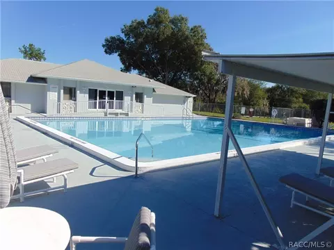 1229 E Silver Thorn Loop, Hernando, FL 34442 photo 36