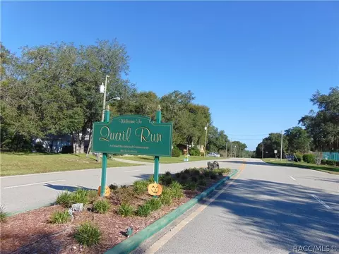 1229 E Silver Thorn Loop, Hernando, FL 34442 photo 34