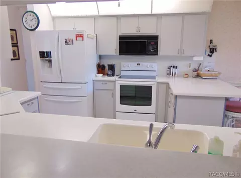 1229 E Silver Thorn Loop, Hernando, FL 34442 photo 10