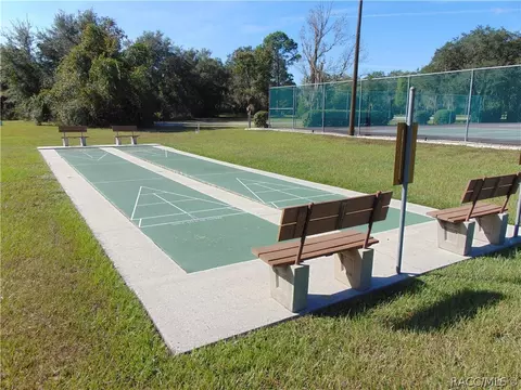 1229 E Silver Thorn Loop, Hernando, FL 34442 photo 37