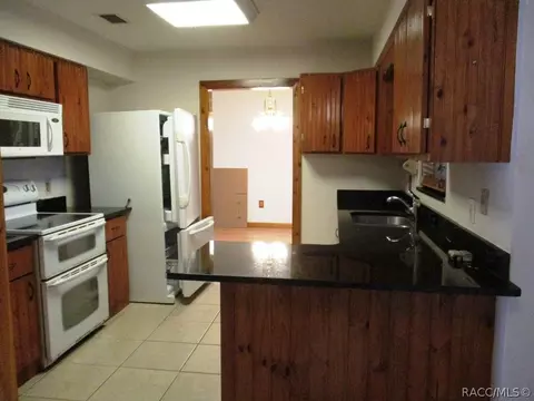 5739 E Turkey Trail Dr, Hernando, FL 34442 photo 3