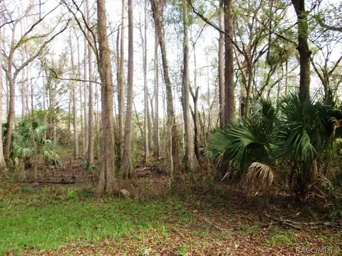 5739 E Turkey Trail Dr, Hernando, FL 34442 photo 19
