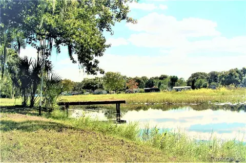 4060 N Bluewater Dr, Hernando, FL 34442 photo 14