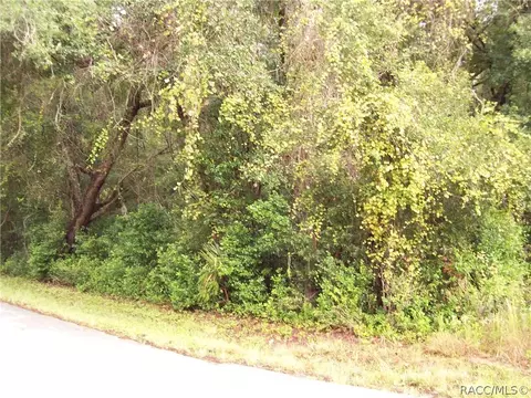 6279 E Oneida St, Inverness, FL 34452 photo 2