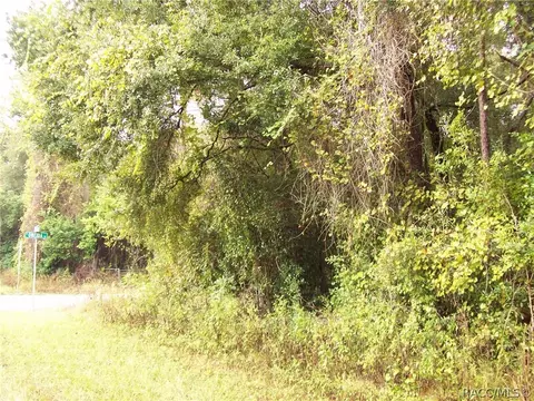 6279 E Oneida St, Inverness, FL 34452 photo 3