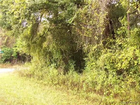 6279 E Oneida St, Inverness, FL 34452 photo 4
