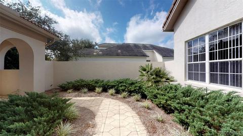 1101 W Skyview Landings Dr, Hernando, FL 34442 photo 3