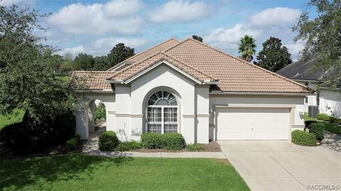 1101 W Skyview Landings Dr, Hernando, FL 34442 photo 1